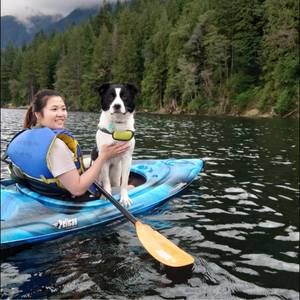 Meet your Posher, Belle